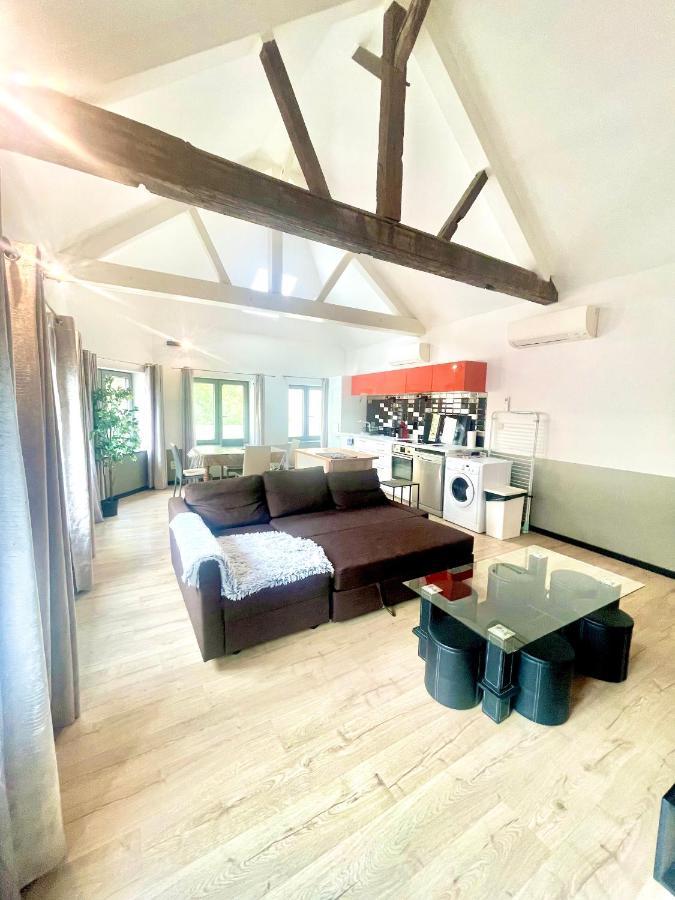 Appartements De Charme Dadou Mons Belgium Esterno foto